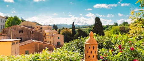 view from the terrace