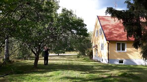 Extérieur