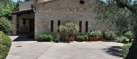 Front garden and entrance