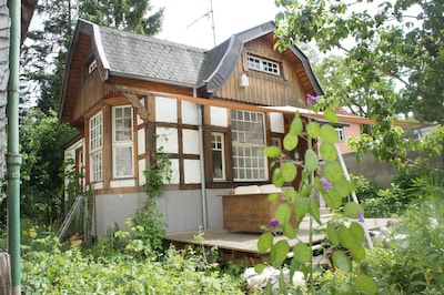 Helles Ferienhaus, eigener wilder Natur-Garten, Sonnenterasse am Teich