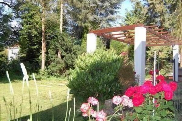 Romantic garden