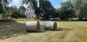 Boendeområde