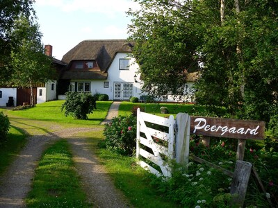 cozy apartment in the thatched cottage in rural idyll 