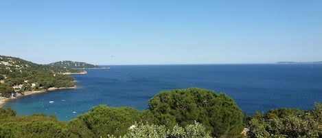 La vue sur la mer au dessus de la pinède de pins parasols