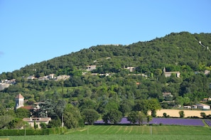 Savasse hill