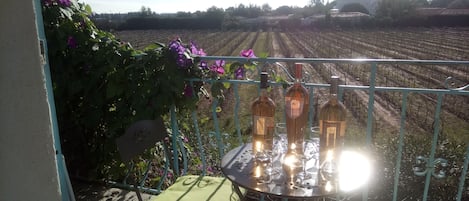 cheers !!! welcome Rosé