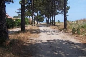 les pins ont été coupé!!