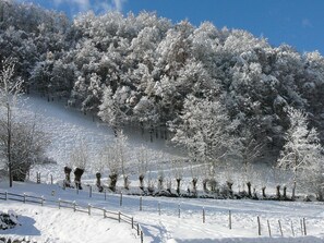 Desportos de neve e esqui