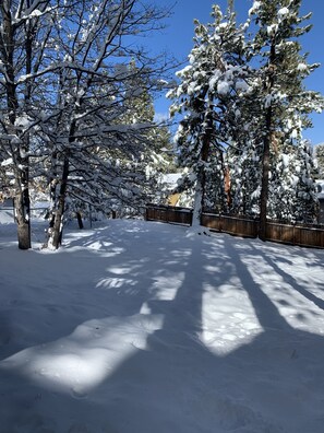 Back Yard Snow for sledding