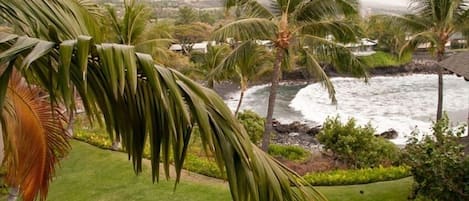 Surf's up! View from main lanai.