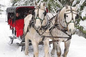 Deportes de invierno y ski
