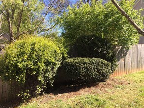 Front Yard landscaping