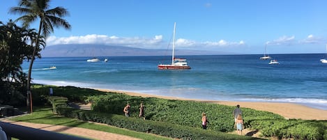 Watch the catamaran from the oceanfront lanai