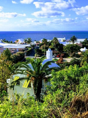 Beach/ocean view