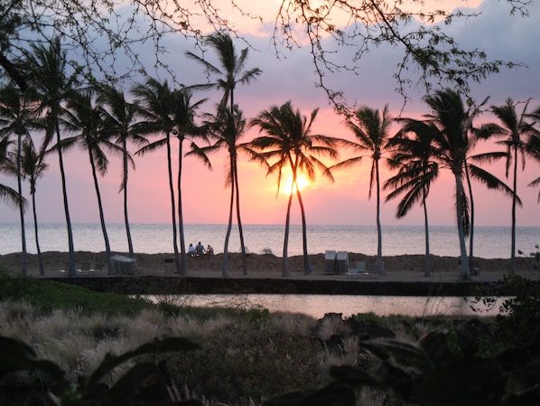 Sunset @ A-Bay - Just a walk across the street.