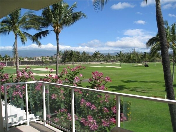 Directly on the Golf Course.  (view from our lanai)
