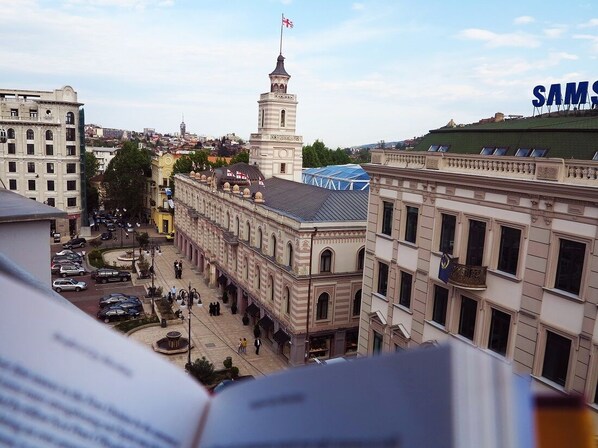 Vista desde la propiedad