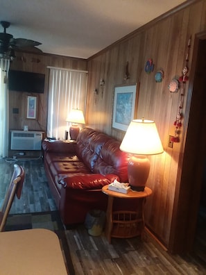 Upgrade New floor; Living area; queen sofa bed, WIFI TV, new A.C.. 