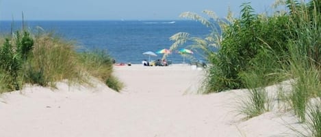 Welcome to Chesapeake Bay!  This sandy path is just steps from your Condo!