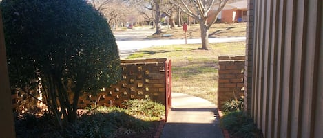 The view of the street from our front door