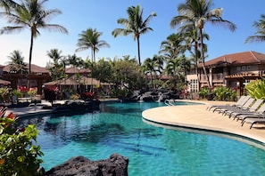Two inviting pools surrounded with gently swaying palms and lush landscaping
