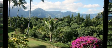 Spectacular mountain/jungle/waterfall view from dining rm, kitchen & master brdm