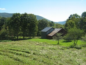 rear view of house