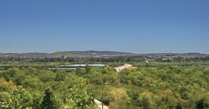 San Joaquin Wildlife Sanctuary