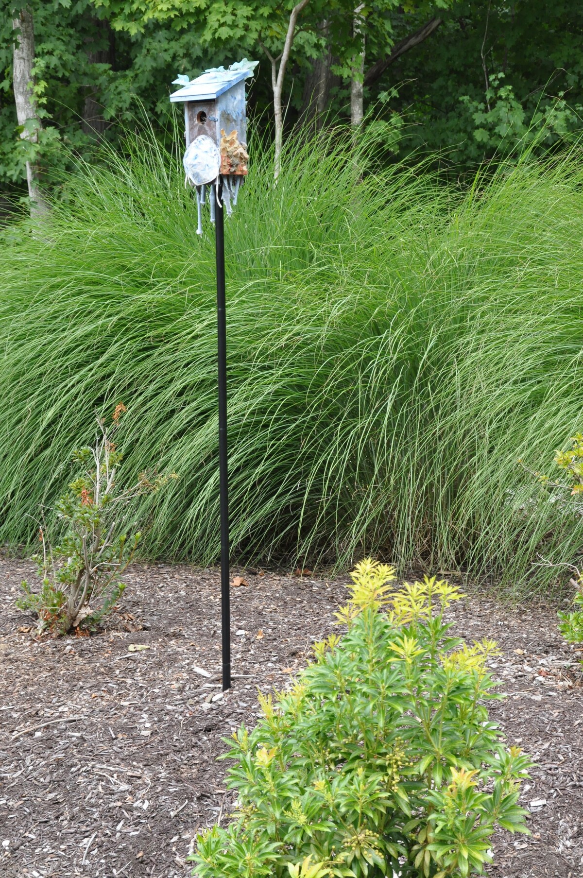 Birdsong – Relaxation, Activities & Culture In Quaint Shoreline Town