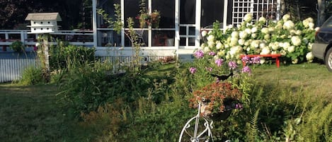 Pemaquid Cottage
In summertime
Enjoy the smell and sounds of the ocean