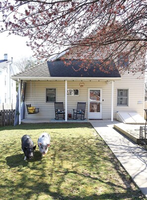 Welcome to the Pack House Cottage, Angel & Lulu have access to the yard