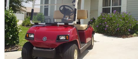  Gasoline powered Golf Cart

