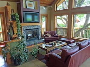 Living Area with Gas Fireplace, Television, Satellite TV (with Sports) DVD 