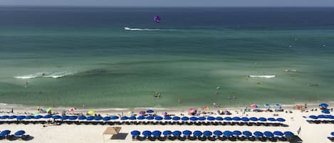 Come watch the dolphins from this breathtaking patio view of the Gulf of Mexico. 