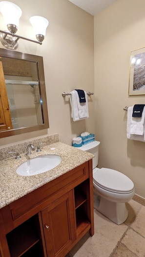 Master bathroom vanity & toilet