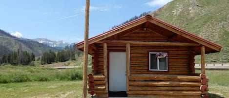 Cabin 5