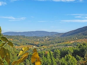 VIEW – from the Master Bedroom Patio!