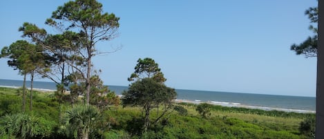 Uitzicht op strand/zee