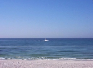 Enjoy Dolphin Watching & Ships Cruising By!