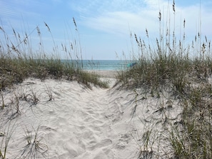 Your path through the dunes to the beach.