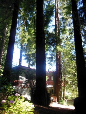 Cabin Exterior