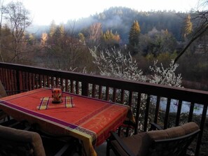A spring morning on the deck
