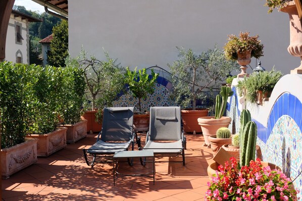 Terrace (65 square meters) with lots of plants.