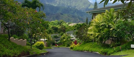 The view from the front step is breathtaking!