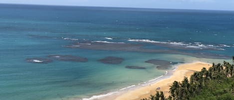 Ocean Front view from balcony