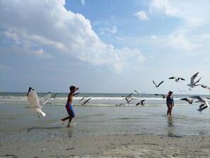 Playa