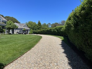 Long private drive up to cottage and house. Privet hedge is 12 ft high!