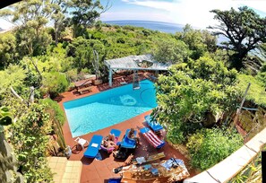 Pool area on edge of natyre reserve glen. Big sun catch qwith hammocks 