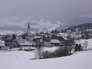 Hönegger, Haus