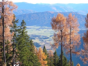 Hönegger, Haus